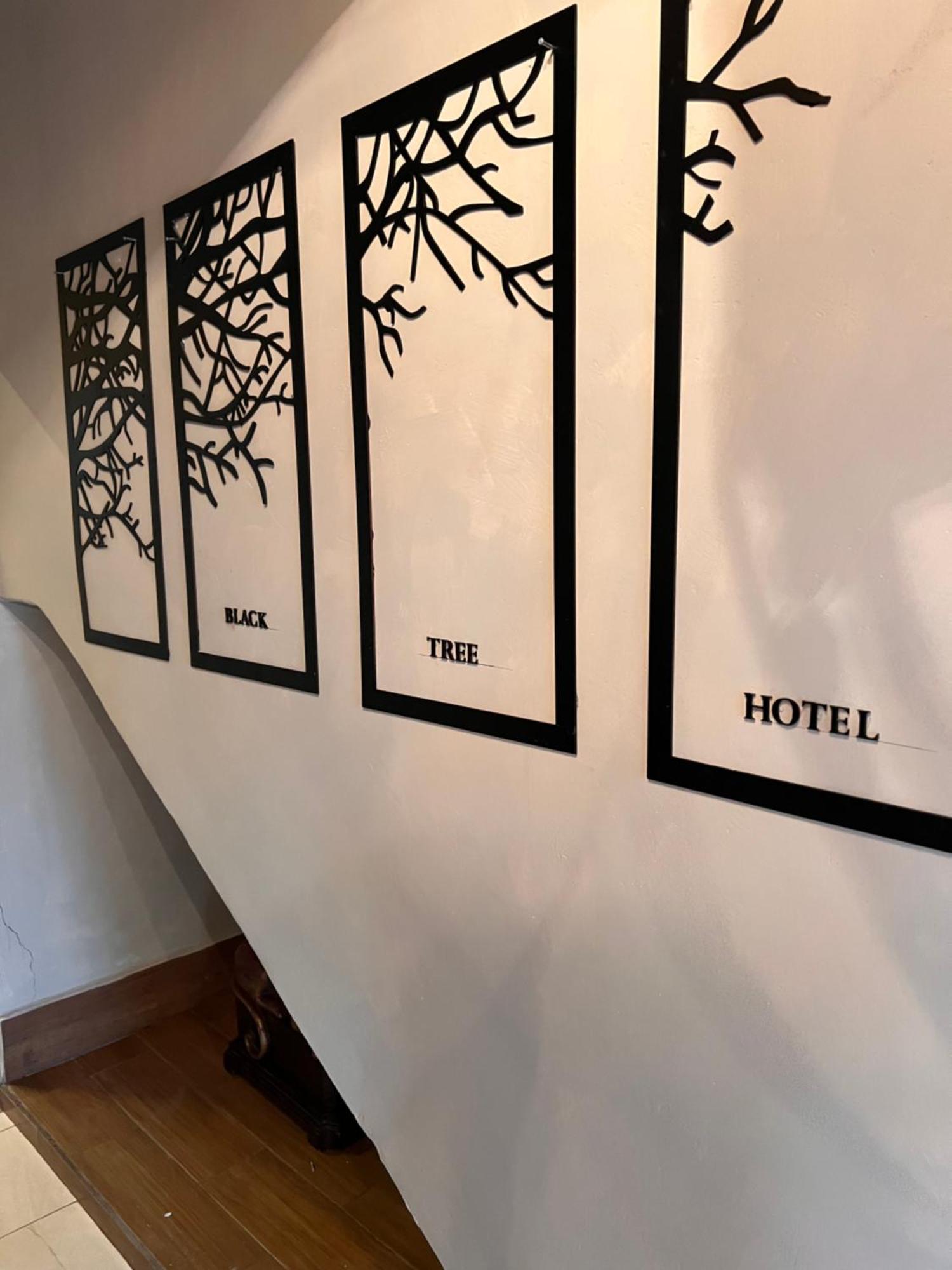 The Black Tree Hotel Colonial Mazatlán Exterior foto